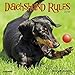 Dachshund Rules Mini 2019 Wall Calendar (Dog Breed Calendar) by 
