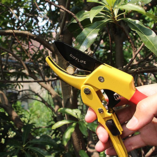 DIFFLIFE Professional SK-5 Steel Blade Sharp Anvil Pruning Shears with Safety Lock for Garden Work (Orange) - Thumbnail 4