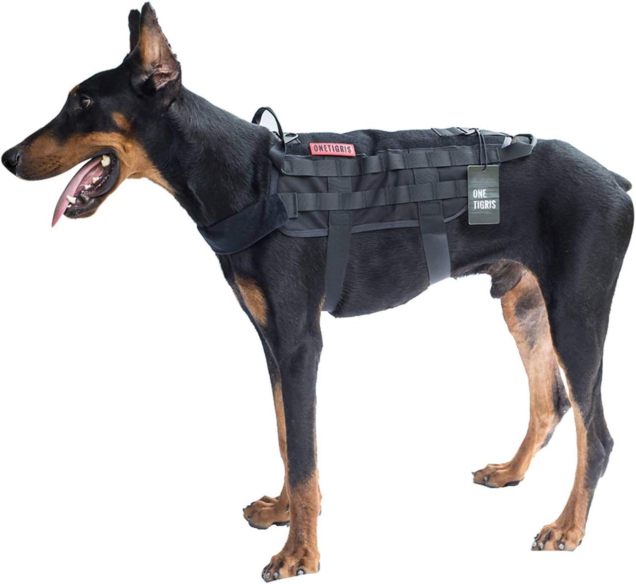 doberman tactical harness