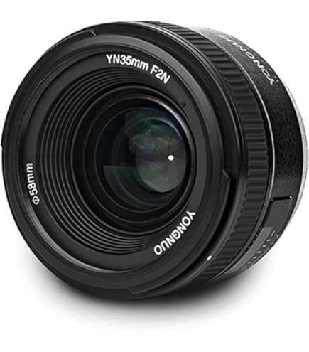 Amazon.com : Nikon AF-S DX NIKKOR 35mm f/1.8G Lens with Auto Focus