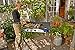 Expedition 3X Triple Burner Stove w/griddle