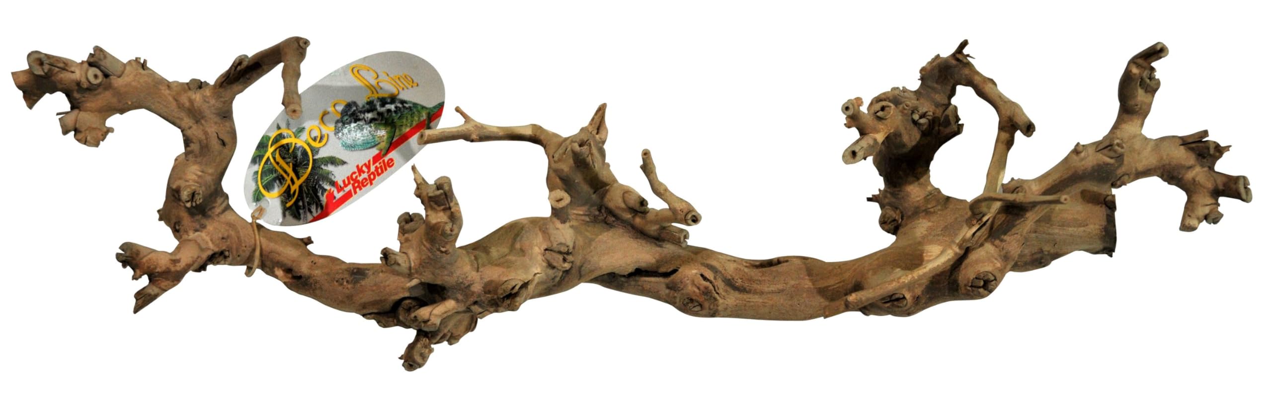 Lucky Reptile DRL-M Sand-Blasted Grape Vine, Medium