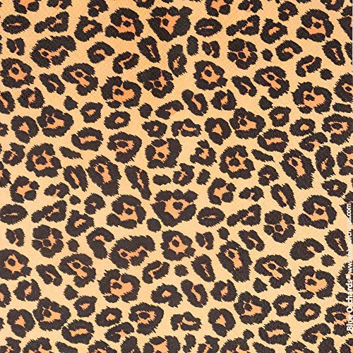 Leopard Print Party Supplies Pack (113+ Pieces for 16 Guests!), Leopard Party, Cheetah Print Tableware