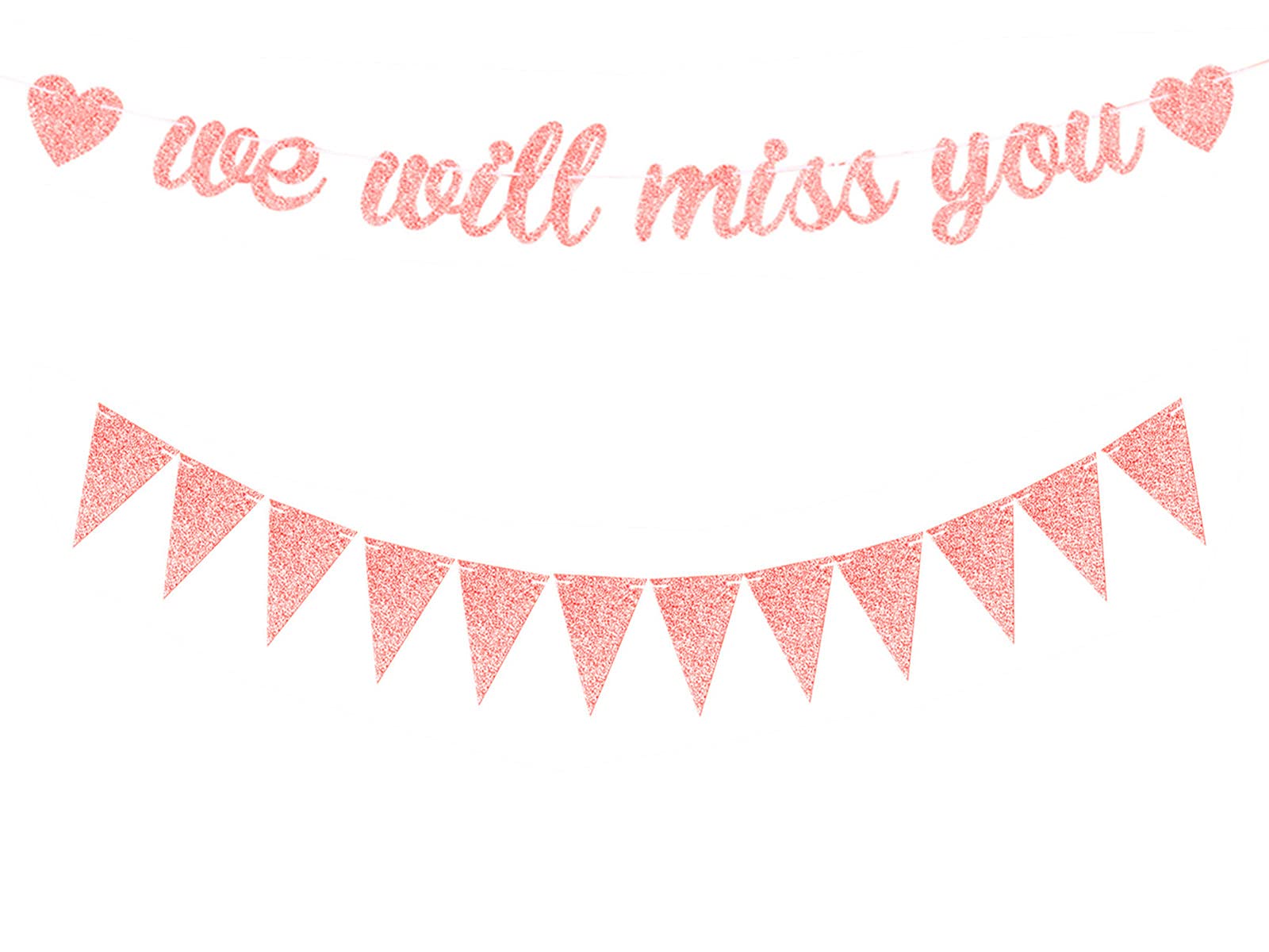 bng-bng We Will Miss You Banner Rose Gold Glitter Triangle Flag Banner Bunting for Retirement Farewell Going Away Goodbye Party Decorations Graduations Leaving Party Decorations Photo Props Backdrop