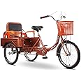 RSTJ-Sjef Adult Tricycle Seniors 3 Wheel Bikes with Large Size Basket and Back Seat, 20 Inch Three-Wheeles Cruise Bicycles Bike for Recreation, Shopping, Exercise Men's Women's Bike,Orange