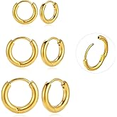 BLISI G23 Titanium Hoop Earrings, Hinged Huggie Hoop Earrings for Lobe Cartilage 8mm/10mm/12mm Hypoallergenic Lightweight Huggie Hoops Earring with 14K Gold Plated Earrings for Women Men