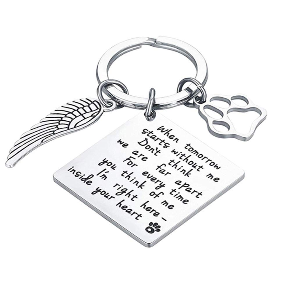 Dabihu Loss of Pet Keychain Pet Memorial Keychain Keyring Pet Family Dog Family Cat Family Pet Keychain Key Ring Pet Sympathy Gift for Pet Lover Dog Cat Keychain