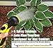 Garden Hose Nozzle - Best for Lawns, Plants & Shrubs, Washing Cars, Dogs + Pets. Free Detachable Shut Off Valve, Ergonomic Trigger, Easy Flow Control Setting, Durable Soft Touch Grip, 9 Settings