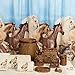 Zenna Home Running Free Western and Horse Theme Shower Curtain