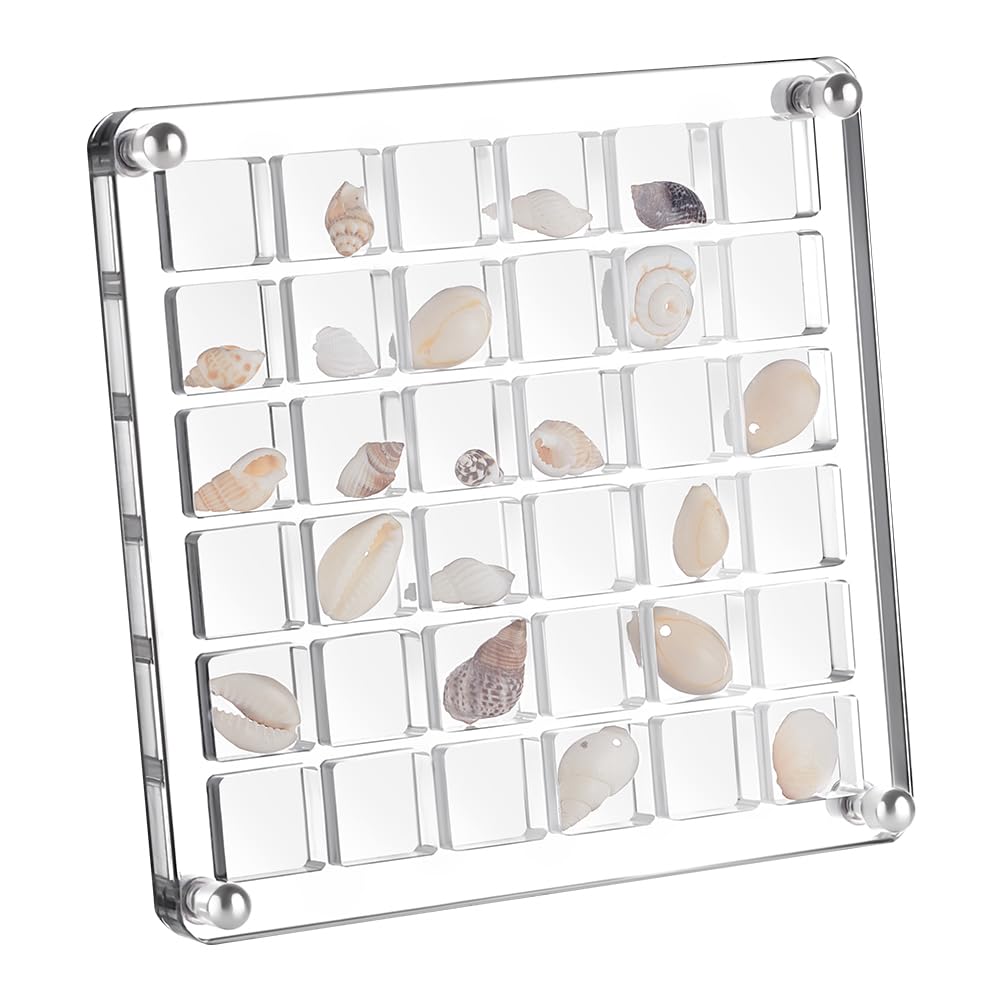 PH PandaHall 36 Grids Seashell Display Box Acrylic Shell Storage Box Shells Display Case Mini Jewellery Organizers Boxes for Summer Beach Travel Seashells Starfish Beads Collection