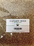 Alpiste canary seed 15 lbs freshly packaged