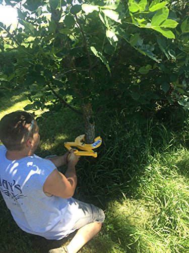 3 Pallet+Pulling+Capacity+Grabber+Forklift