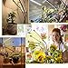 CXhome 80 LEDs Grow Light Plant Light Strips with 10 Dimmable Brightness LED Grow Lamp with Full Spectrum 3 Switch Modes Auto ON/Off 3/9/12H Timer Adjustable Gooseneck & Desk Clip for Indoor Plant