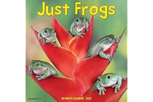 Just Frogs 2023 Wall Calendar