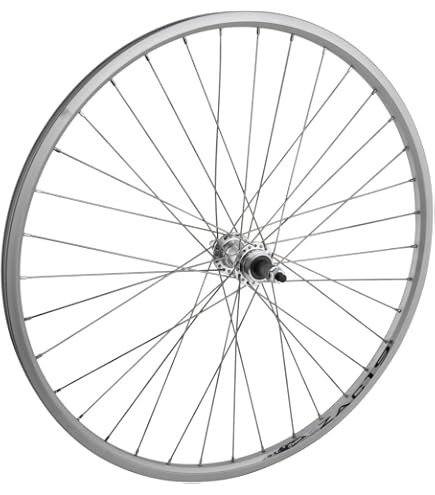 Amazon.com : Wheel Master WHL RR 26x1.5 559x19 ALY SL 36 ALY FW 5