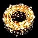 Badalink LED String Lights, 100 LED 33FT Starry Dimmable Waterproof Copper Wire Lights with Remote Control for Parties&Festivals Indoor Outdoor(Copper Wire Lights, Warm White)