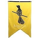 Calhoun Game of Thrones House Sigil Wall Banner (30" by 50") (House Baelish)