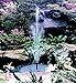 Little Giant 566267 3 Tier Fountain Head Nozzle Kit with Telescope