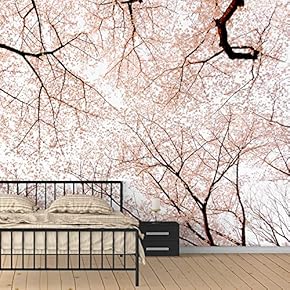 Wall Murals for Bedroom Dreamwork Beautiful Removable Wallpaper Peel and Stick Wall Stickers - 66x96 inches