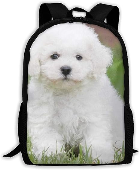 Zaino Per Adulto Con Stampa Cane Bichon Frise Amazon It Valigeria