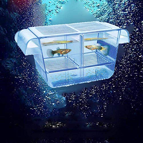 Lefunpets Aquarium Fish Breeding Box for Baby Fish Hatchery, Double