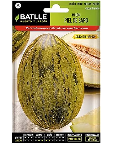 Amazon.es: Kits de cultivo en casa: Jardín