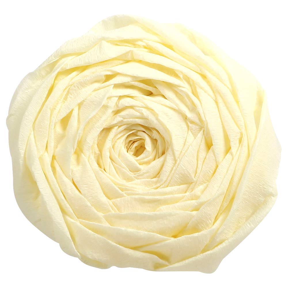 Clairefontaine 901002C - Pack of 10 Sheets of Crepe Paper - Ivory Colour - Format 2x0,50m - Crepe 40% - Creative leisure for Adults and Children Arts Crafts