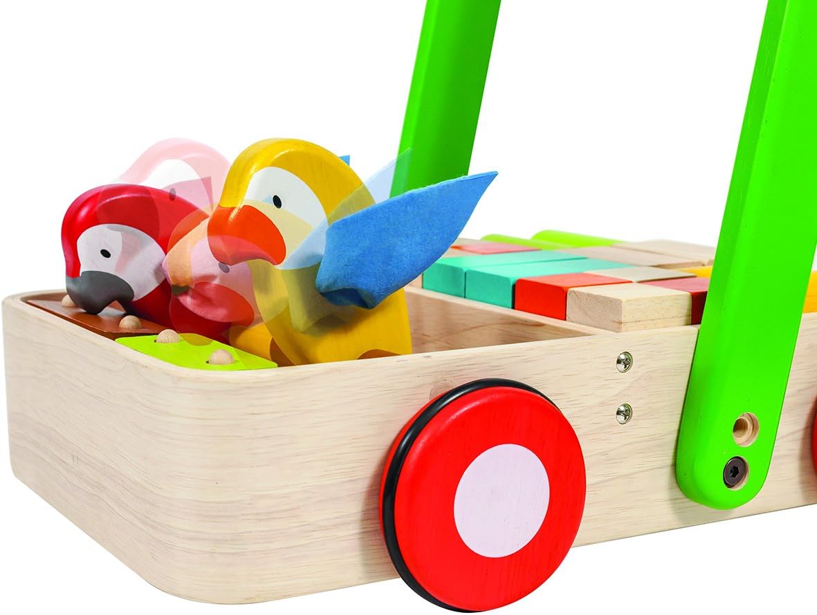 Plan Toys Bird Walker, Multi-color, Medium - Image 3
