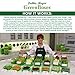 Debbie Meyer GreenBoxes, Food Storage Containers with Lids, Keep Fruits, Vegetables, Baked Goods & Snacks Fresher Longer! BPA Free, Microwave & Dishwasher Safe- 16 Piece Set