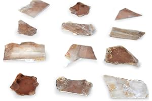 EISCO 12PK Raw Muscovite Mica, Mineral Specimen - Approx. 1"- Geologist Selected & Hand Processed - Great for Science Classrooms