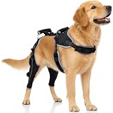 Dog Knee Brace for ACL CCL, Luxating Patella, Both Rear Legs, Black, L | Torn ligament support with adjustable compression, joint warmth and chest-to-hindlimb suspension for controlled activity