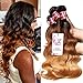 UNice Hair 8a Grade Ombre Body Wave Hair 3 Bundles, Brazilian Remy Hair Body Wave Weave, 100% Human Hair Extensions 3 Tone 1b 4 27 Color 100g/pc (16 18 20)