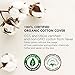 Rael Organic Cotton Sanitary Pads - Certified Organic Cotton Regular Pads 1 Pack and Large Pads 1 Pack by Rael Variety Pack(2 Packs/26 Total)