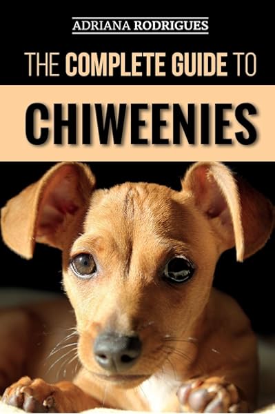 all about chiweenies