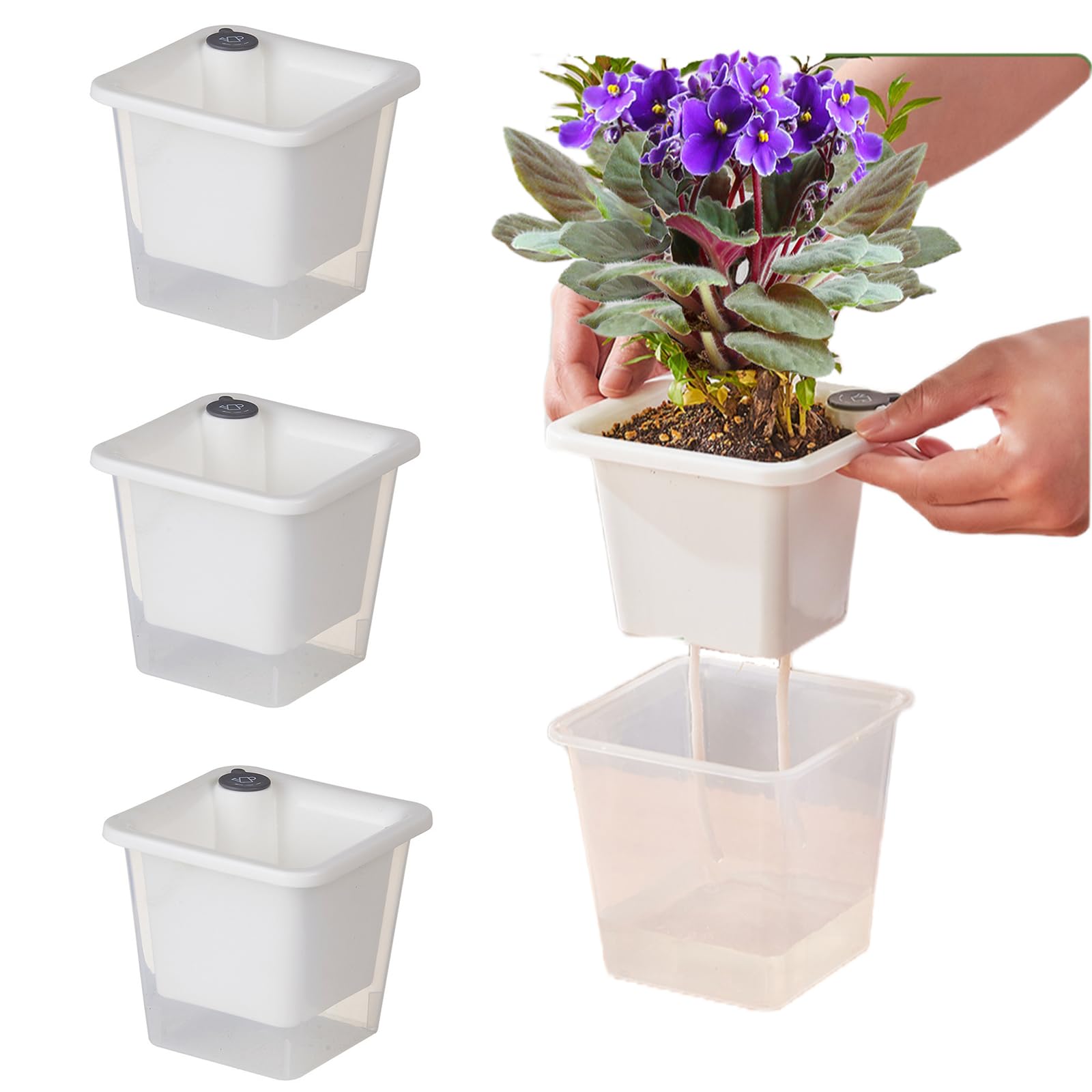 FAMZ Plant Pot 3 Pack,Self Watering Pots for Indoor Plants,Clear Plant ...