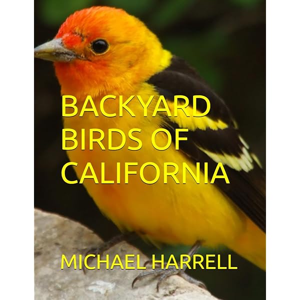 (未使用･未開封品)Birds of the Backyard [DVD] Backyard Birds of Texas (Wildlife of North America and other