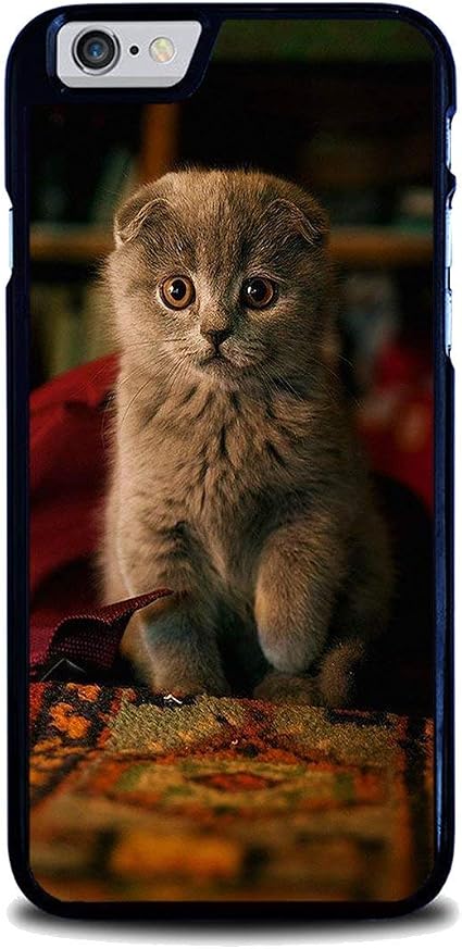 Amazon Com Scottish Fold Cat Felis Catus Scotland For Samsung