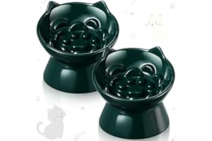 Funnymoom 2 Pcs Ceramic Elevated Slow Feeder Cat Bowl Cute Tilted Anti Vomiting Raised Cat Bowl for Dry Wet Food and Water Easy to Clean High Edge Pet for Small Dogs(Dark Green)