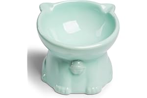 Wellbro Elevated Ceramic Cat Bowls, 15°Tilted Stand Anti Vomiting Raised Cat Food and Water Bowl, Whisker Friendly Pet Feeder for Cats Puppies, Microwave and Dishwasher Safe
