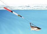 Lanfly Fishing Floats 20Pcs 5 Sizes Coarse Transparent Waggler Kit view 6
