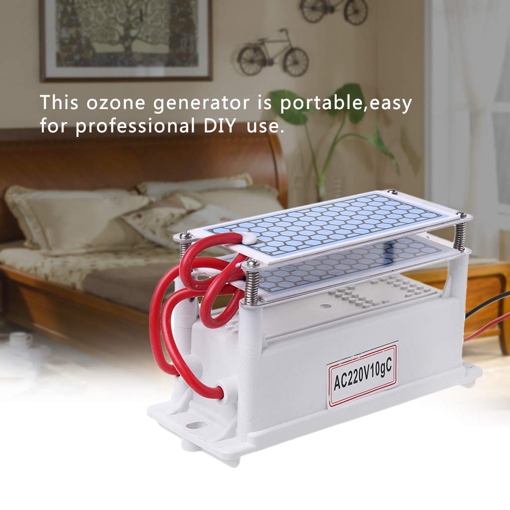 Ycncixwd 220 V 10 g/h placa de cerámica generador de ozono doble ...