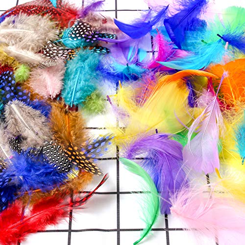VGOODALL 500 Stück Bunte Federn, Farbe Indianer Ferdern zum Basteln für DIY Ohrring Hochzeit Traumfänger Kopfschmucksfedern