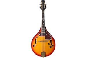 Adjustable 8-String Electric A Style Mandolin Rosewood Fingerboard String Instrument with Cable Strings Cleaning Cloth QAHM