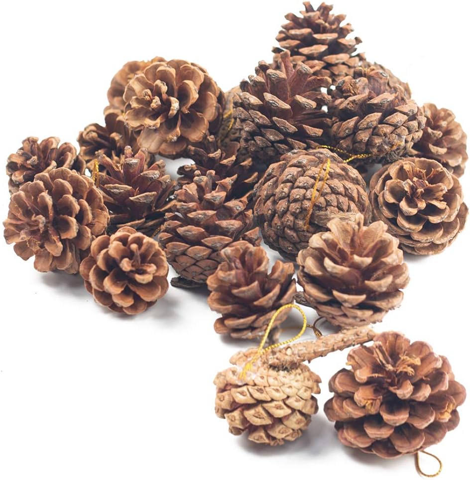 Vase Fillers - JOHOUSE Natural Pine Cones, Christmas Rustic Pinecones Fall Garland Halloween Thanksgiving Decorations, Christmas Tree Fall Ornaments,18 PCS