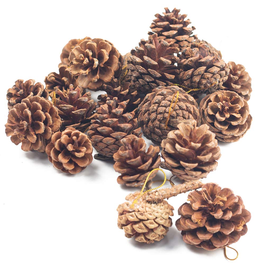 JOHOUSE 18PCS Hanging Natural Pine Cones (1.5