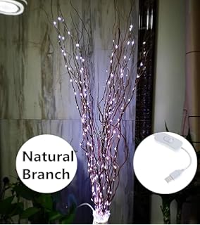 Amazon Com Lightshare Natural Twig Lighted Branch For Home