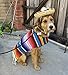 Dog Sombrero Hat - Funny Dog Costume - Chihuahua Clothes - Mexican Party Decorations (Dog Sombrero)