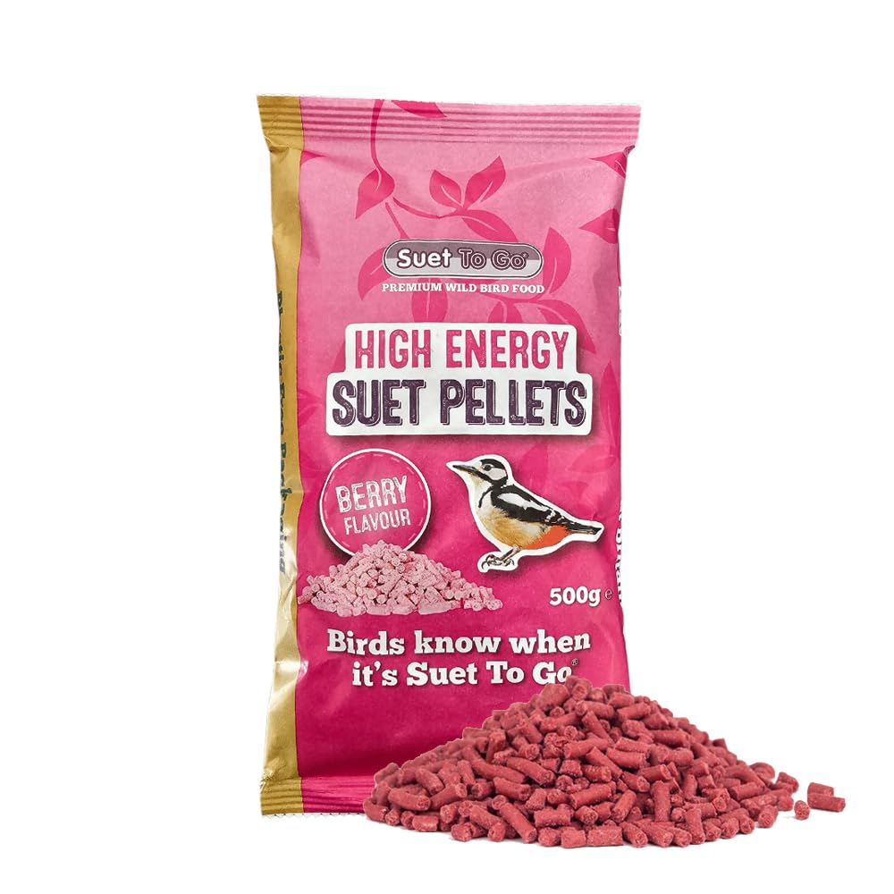 Suet To Go Berry Suet Pellets, Berry Flavour, 550 g