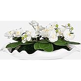 Uttermost 60234 Opulence Orchid - Centerpiece with Bowl-12 Inches Tall and 26 Inches Wide