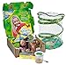 Insect Lore Live Butterfly Growing Kit Toy - 5 Caterpillars to Butterflies - SHIP NOW